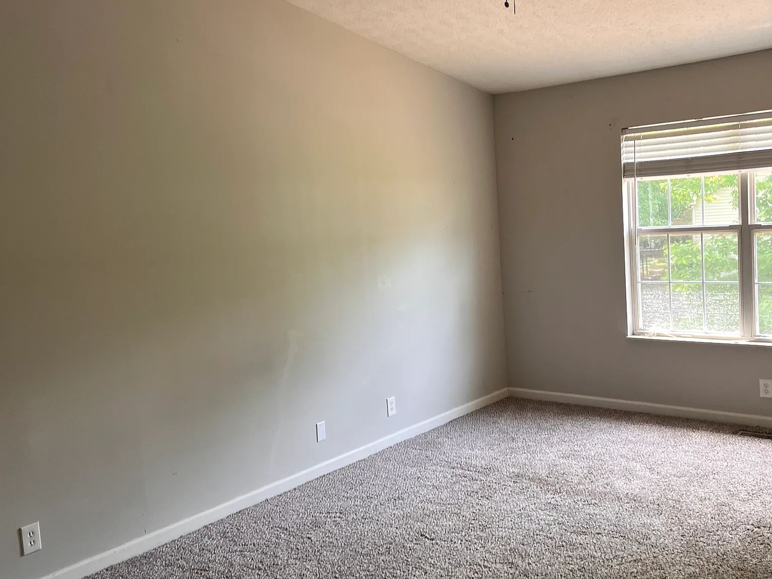 1 bed, 1700 sqft, $900 — Photo 3