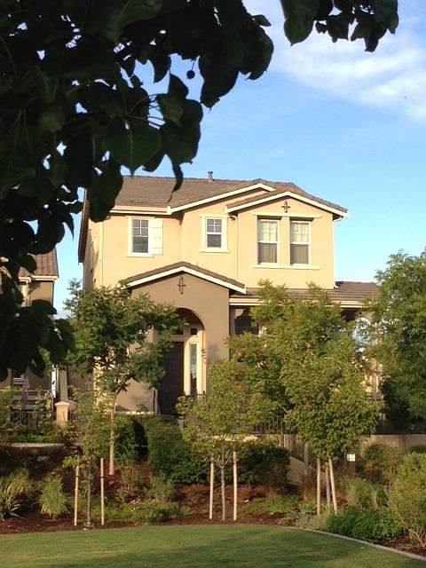 1st image of 48976 Manna Grass Ter