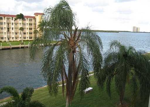 2nd image of 111 Shore Ct APT 306C