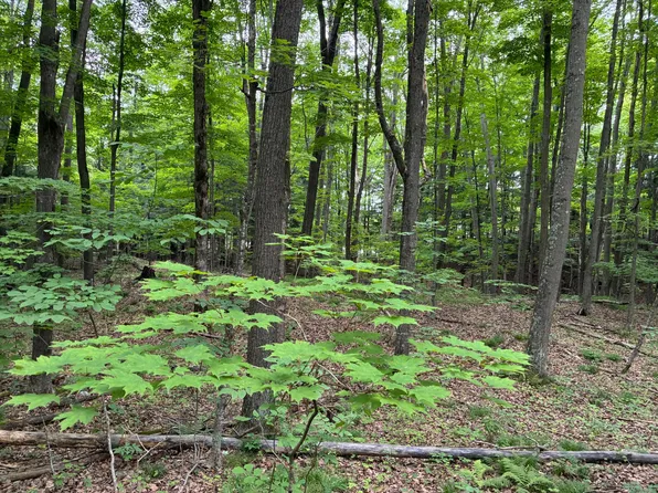 2217801 Grass Lake Rd, Crandon, WI 54520