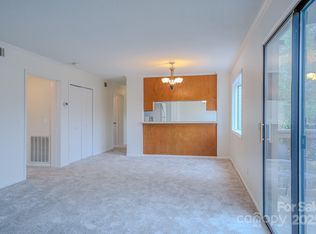 201 Racquet Club Rd #19, Asheville, NC 28803