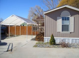 411 Pisces Cir, Fruita, CO 81521