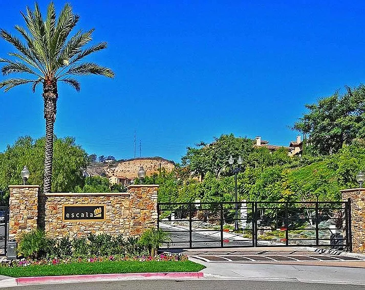 Piantino Cir