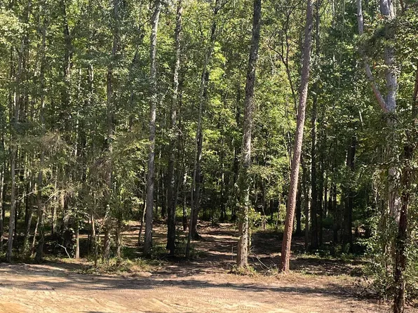 Tbd E Fm 852, Winnsboro, TX 75494