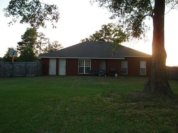back view