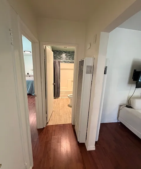 bedroom into bathroom hallway