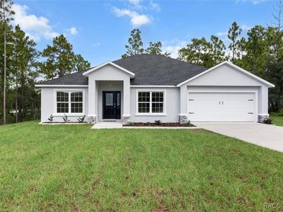12385 Barnevelde Rd, Weeki Wachee, FL, 34614
