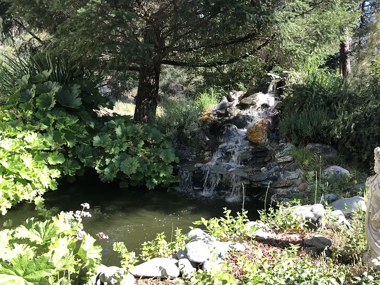 7204 Browns Mountain Rd — Photo 13