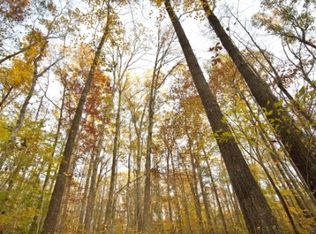 Cuba Landing Rd, Waverly, TN 37185