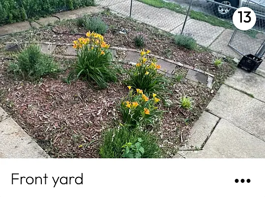 Fron yard entrance with privacy fence