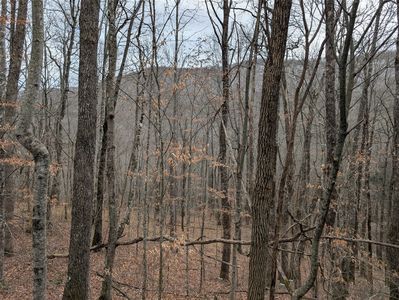 lot 3 Black Gap Road, Franklin, NC, 28734