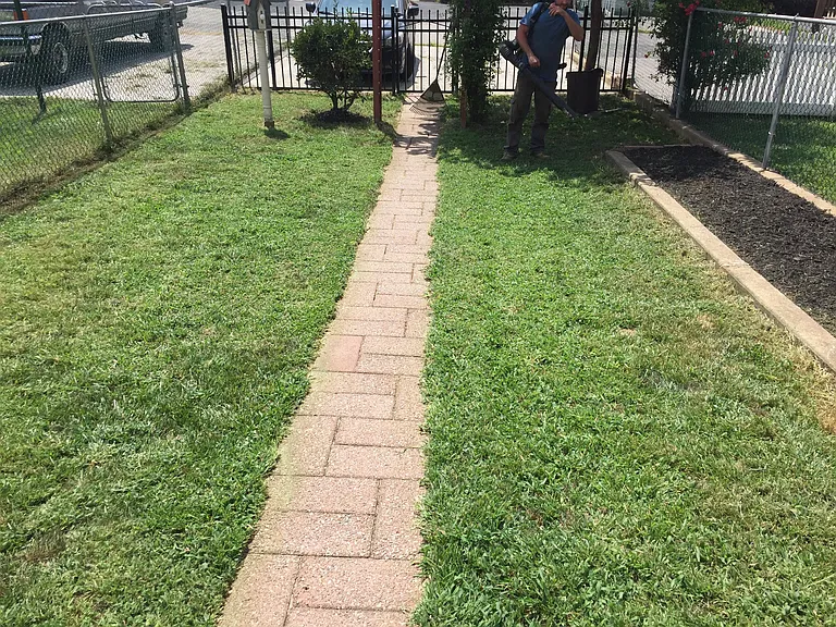 view from patio