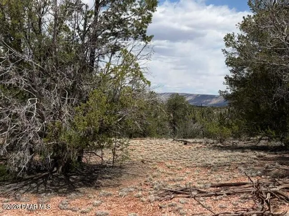 55103 N La Baya Rd, Seligman, AZ 86337