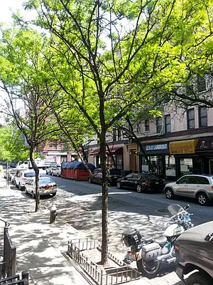 Rented by Living New York | media 26