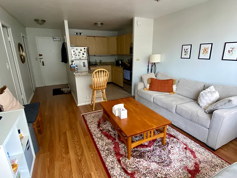 3550 N Lake Shore Dr #423 — Photo 3