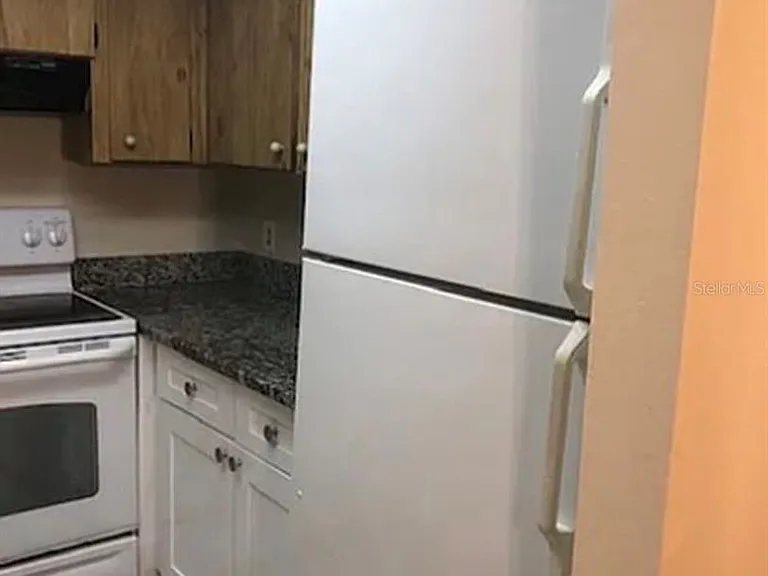 3124 Bloomingdale Villas Ct — Photo 2