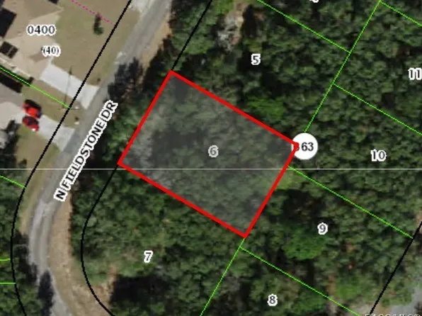 7855 N Fieldstone Dr, Citrus Springs, FL 34433