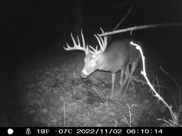 123.5+/- Acres County Road E, Richland Center, WI 53581