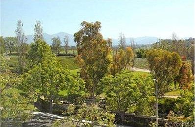Beautiful treetop, park and Saddleback Mountain view in back.