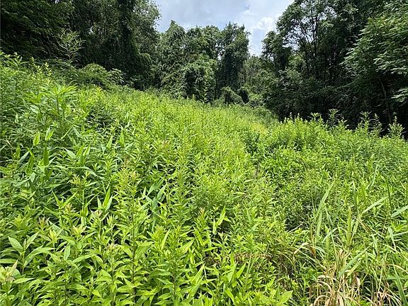 4th image of Coal Bluff Rd