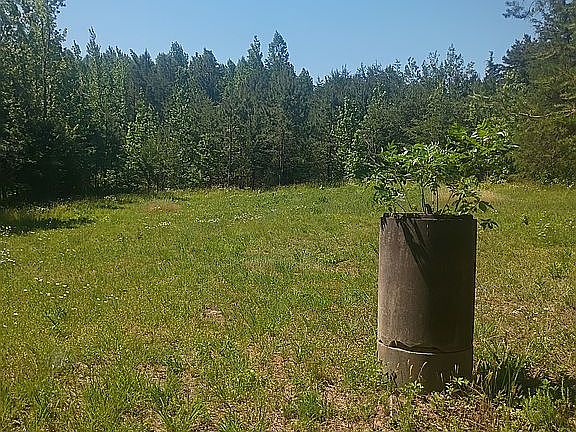 4th image of 054-A- 11