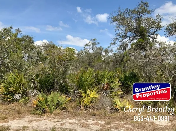 1527 Black Bear Ave, Lake Placid, FL 33852