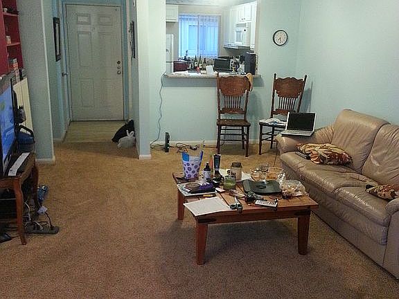 2nd image of 7405 Charmant Dr #1902