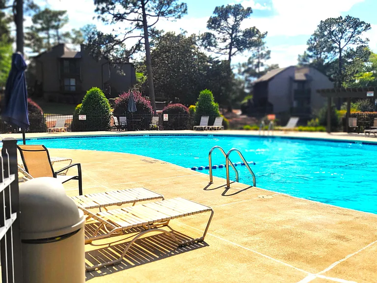 280 Sugar Gum Ln #168 — Photo 43