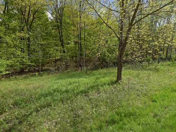L169 Black Forest Dr, La Valle, WI 53941