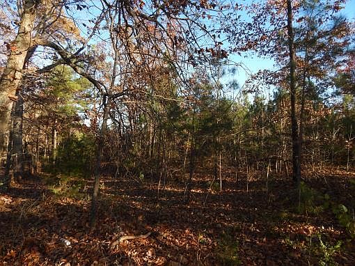 4th image of 2845 Summertown Hwy