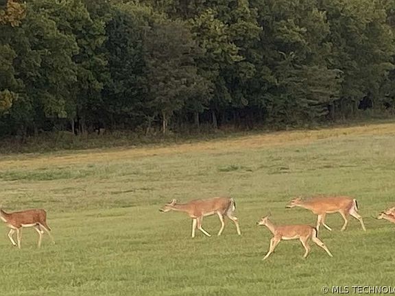 5th image of 2206 N 184th Rd