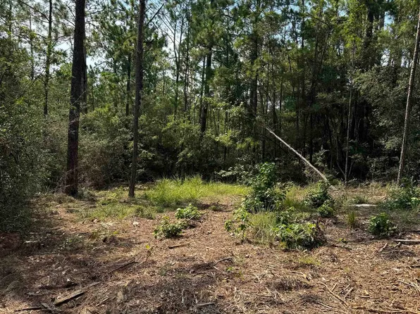 565 Sparkleberry, Brookeland, TX 75931