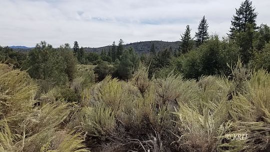 4th image of Sawmill