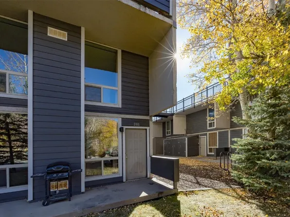 340 Straight Creek Dr #201, Dillon, CO 80435