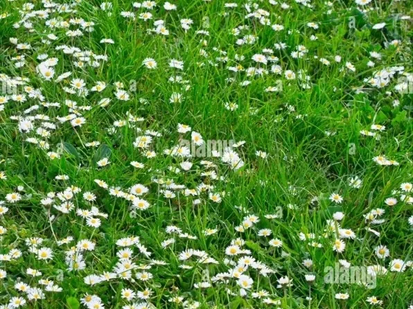 60 Brissette Ave, Salisbury, MA 01952