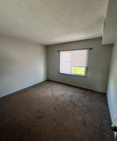 2450 Shaker Ct #5 — Photo 8