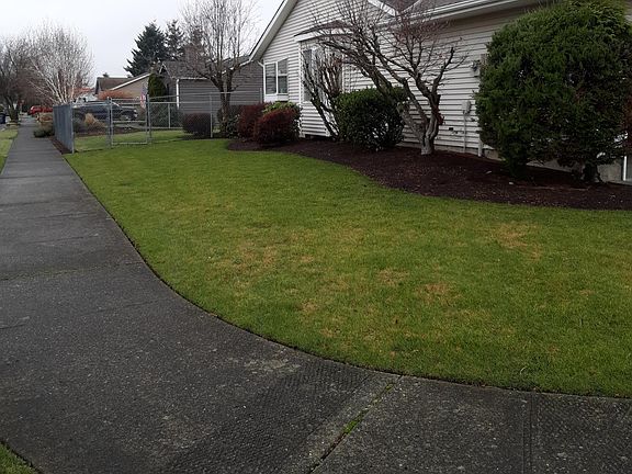 3rd image of 1124 Berilla Dr