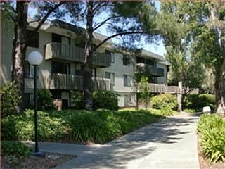 1st image of 1213 Shelter Creek Ln