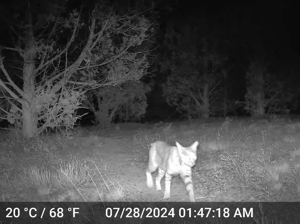 388 N Juniper Ranch Road #106, Ash Fork, AZ 86320