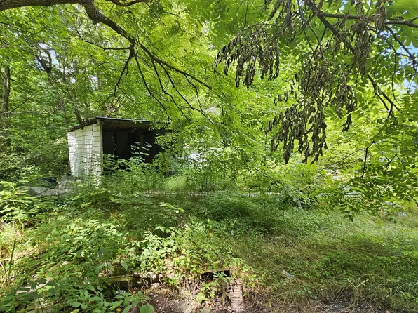 1511 Adolph Cassity Rd, Mabie, WV 26278