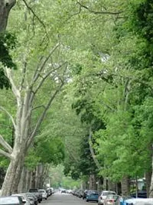 Sold by Corcoran | media 23