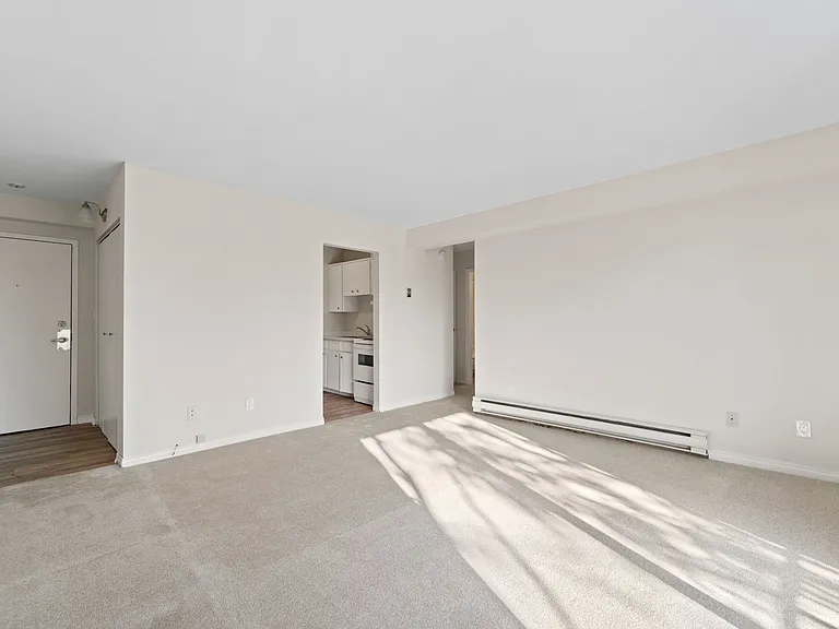 3461 Peter St — Photo 8