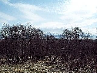 2nd image of 2085 Jakes Little Fireweed Ln