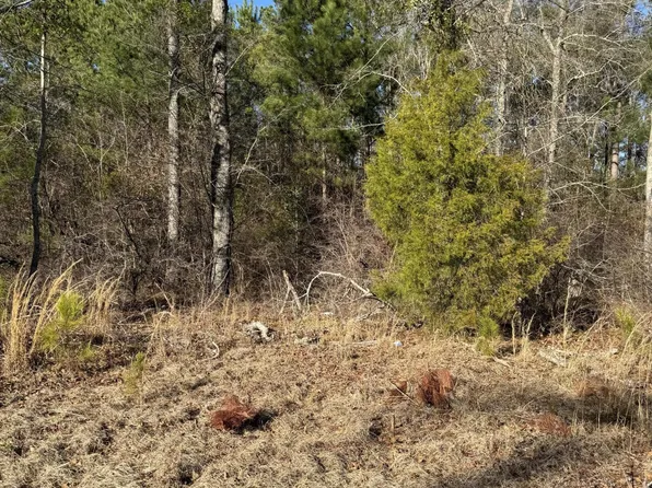 347 River Ridge Dr, Orangeburg, SC 29115