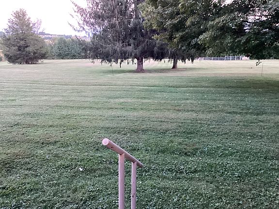 Back yard