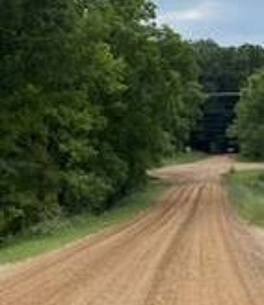 Exterior Neighborhood (street photo)