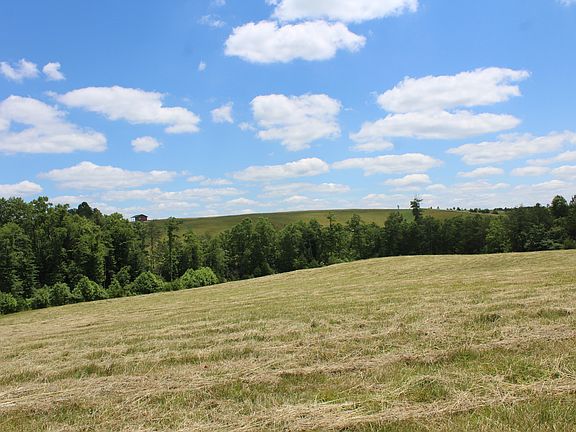 4th image of Nichol Creek Dr