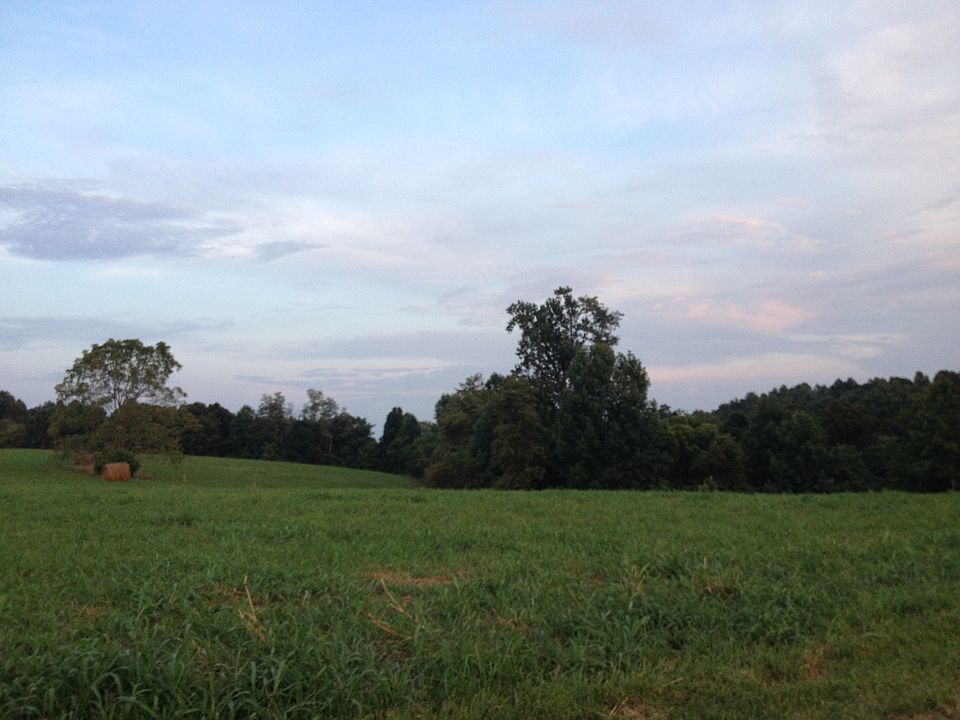 2nd image of 2195 Patsy Rife Road