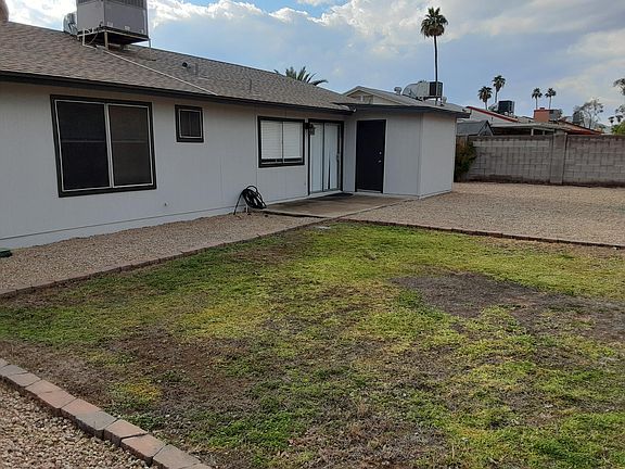 Back yard