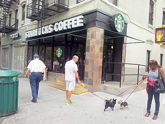 Rented by Bold New York